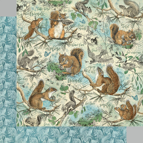 Graphic 45 - Woodland Friends Collection - 12 x 12 Double Sided Paper - Be Curious