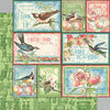 Graphic 45 - Bird Watcher Collection - 12 x 12 Double Sided Paper - Learn To Fly