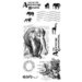 Graphic 45 - Hampton Art - Safari Adventure Collection - Cling Mounted Rubber Stamps - One