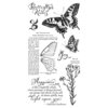 Graphic 45 - Hampton Art - Nature Sketchbook Collection - Cling Mounted Rubber Stamps - One