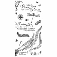 Graphic 45 - Hampton Art - Nature Sketchbook Collection - Cling Mounted Rubber Stamps - Two