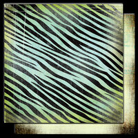 Glitz Design - Hoopla Collection - 12 x 12 Double Sided Paper - Zebra, CLEARANCE