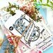Honey Bee Stamps - Simply Spring Collection - Honey Cuts - Steel Craft Dies - Spring Seeds