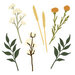 Honey Bee Stamps - Heartfelt Harvest Collection - Honey Cuts - Steel Craft Dies - Lovely Layers - Autumn Bouquet