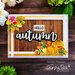 Honey Bee Stamps - Autumn Splendor Collection - Clear Photopolymer Stamps - Bitty Buzzwords - Seasons
