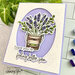 Honey Bee Stamps - Modern Spring Collection - Clear Photopolymer Stamps - Country Lavender