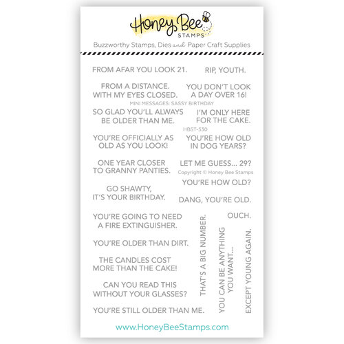 Honey Bee Stamps - Clear Photopolymer Stamps - Mini Messages - Sassy Birthday