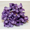 Melissa Frances - Vintage Flower - Purple Hydrangea