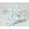 Melissa Frances - Vintage Flower - White Hydrangea