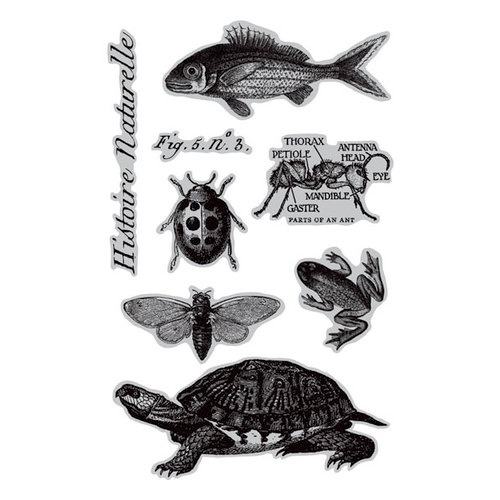 Hampton Art - 7 Gypsies - Cling Mounted Rubber Stamps - Nature's Kingdom
