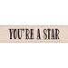 Hero Arts - Wood Block - Wood Mounted Stamp - Youre a Star