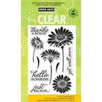 Hero Arts - Poly Clear - Clear Acrylic Stamps - Hello Sunshine Daisies