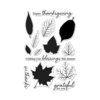 Hero Arts - Fall Collection - Clear Photopolymer Stamps - Color Layering Grateful Leaves