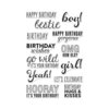 Hero Arts - Clear Photopolymer Stamps - Birthday Hugs and Kisses
