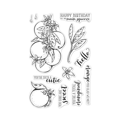 Hero Arts - Clear Photopolymer Stamps - Orange Blossoms