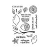 Hero Arts - Clear Photopolymer Stamps - Zest Wishes