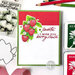 Hero Arts - Clear Photopolymer Stamps - Color Layering Strawberries