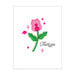 Hero Arts - Clear Photopolymer Stamps - Color Layering Stellar Flowers