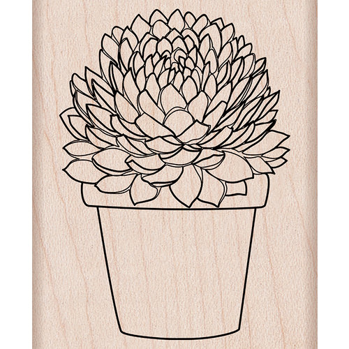 Hero Arts - Spring Collection - Woodblock - Wood Mounted Stamps - Potted Succulent