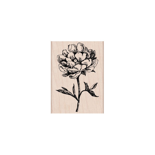 Hero Arts - Woodblock - Wood Mounted Stamps - Classic Tea Flower