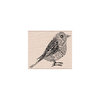 Hero Arts - Woodblock - Wood Mounted Stamps - Newsprint Bird