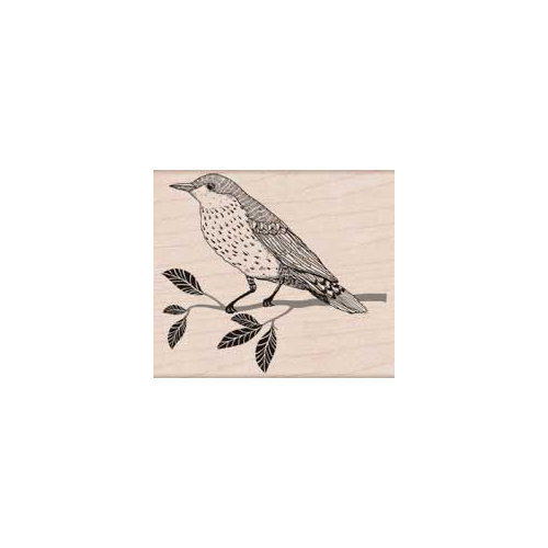 Hero Arts - Woodblock - Wood Mounted Stamps - Wise Bird