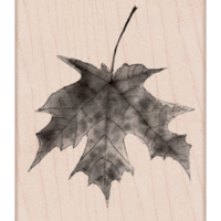 Hero Arts - Woodblock - Wood Mounted Stamps - Lisas Painted Maple Leaf