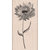 Hero Arts - Wood Block - Wood Mounted Stamp - Puff Flower