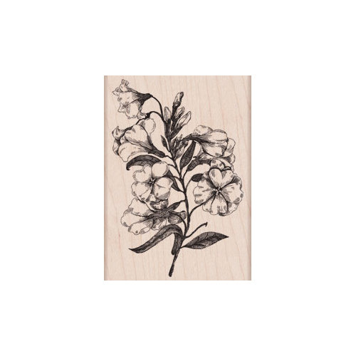 Hero Arts - Woodblock - Wood Mounted Stamps - Fleurettes