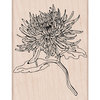 Hero Arts - Spring Collection - Woodblock - Wood Mounted Stamps - Mum Flower