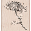Hero Arts - Spring Collection - Woodblock - Wood Mounted Stamps - Mum Stem