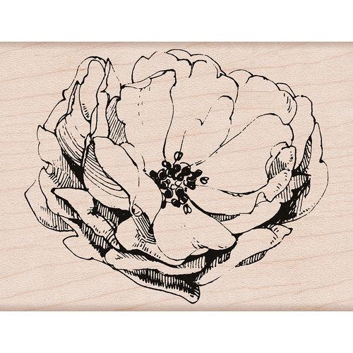 Hero Arts - Spring Collection - Woodblock - Wood Mounted Stamps - Antique Rose