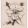 Hero Arts - Spring Collection - Woodblock - Wood Mounted Stamps - Antique Rose Stem