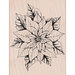 Hero Arts - Woodblock - Wood Mounted Stamps - Antique Poinsettia