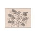 Hero Arts - Woodblock - Wood Mounted Stamps - The Holly and the Ivy