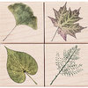 Hero Arts - Woodblock - Wood Mounted Stamps - Real Leaves - Set of Four