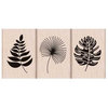 Hero Arts - Tropical Collection - Woodblock - Wood Mounted Stamps - Tropical Leaves
