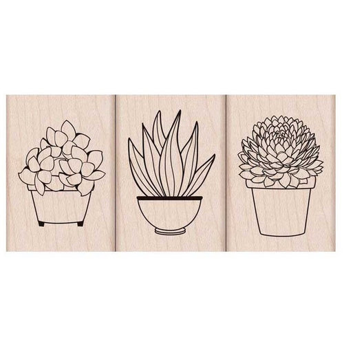 Hero Arts - Garden Collection - Woodblock - Wood Mounted Stamps - Succulent Trio
