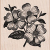 Hero Arts - Woodblock - Wood Mounted Stamps - Dogwood