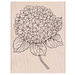 Hero Arts - Garden Collection - Woodblock - Wood Mounted Stamps - Large Hydrangea