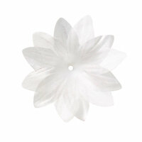 Imaginisce - Now and Forever Collection - Stephanotis Flowers - 1 Inch - Forever Young