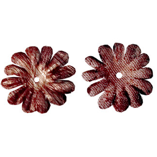 Imaginisce - Wild Things Collection - Wild Flowers - Brown Baboon, CLEARANCE