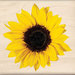 Inkadinkado - Photo Realistic Collection - Wood Mounted Stamps - Sunflower