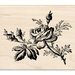 Inkadinkado - Designer Collection - Wood Mounted Stamps - Vintage Rose