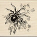 Inkadinkado - Inkblot Collection - Halloween - Wood Mounted Stamps - Spider