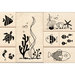 Inkadinkado - Stamp-a-Story Collection - Wood Mounted Stamps - Under the Sea Set