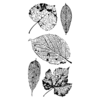 Inkadinkado - Clear Acrylic Stamps - Decomposed Foliage