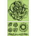 Inkadinkado - Background Clings Collection - Rubber Stamps - Large - Vintage Floral