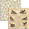 Jenni Bowlin Studio - Wren Collection - 12 x 12 Double Sided Paper - Bird