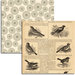 Jenni Bowlin Studio - Wren Collection - 12 x 12 Double Sided Paper - Bird